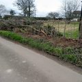 Hedgerow Restoration