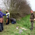 Hedgelaying in Holland Again….