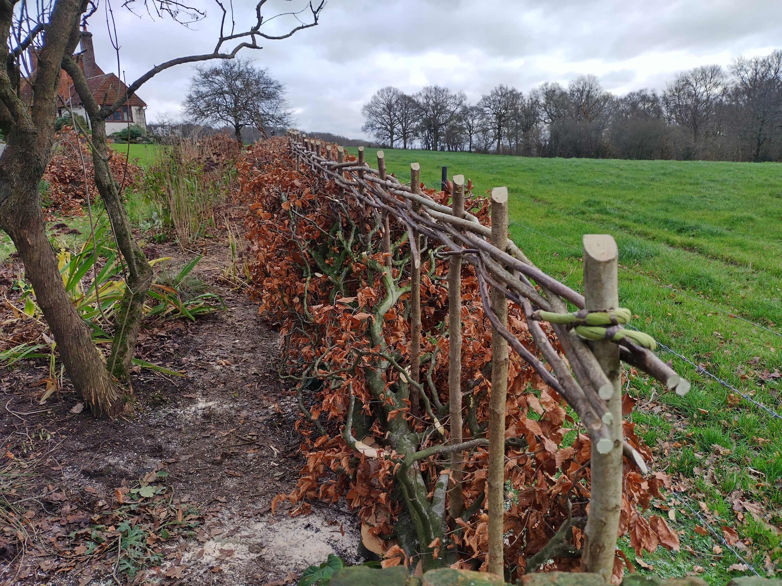 rhs-post-gallery-single-image rhs-gall-item