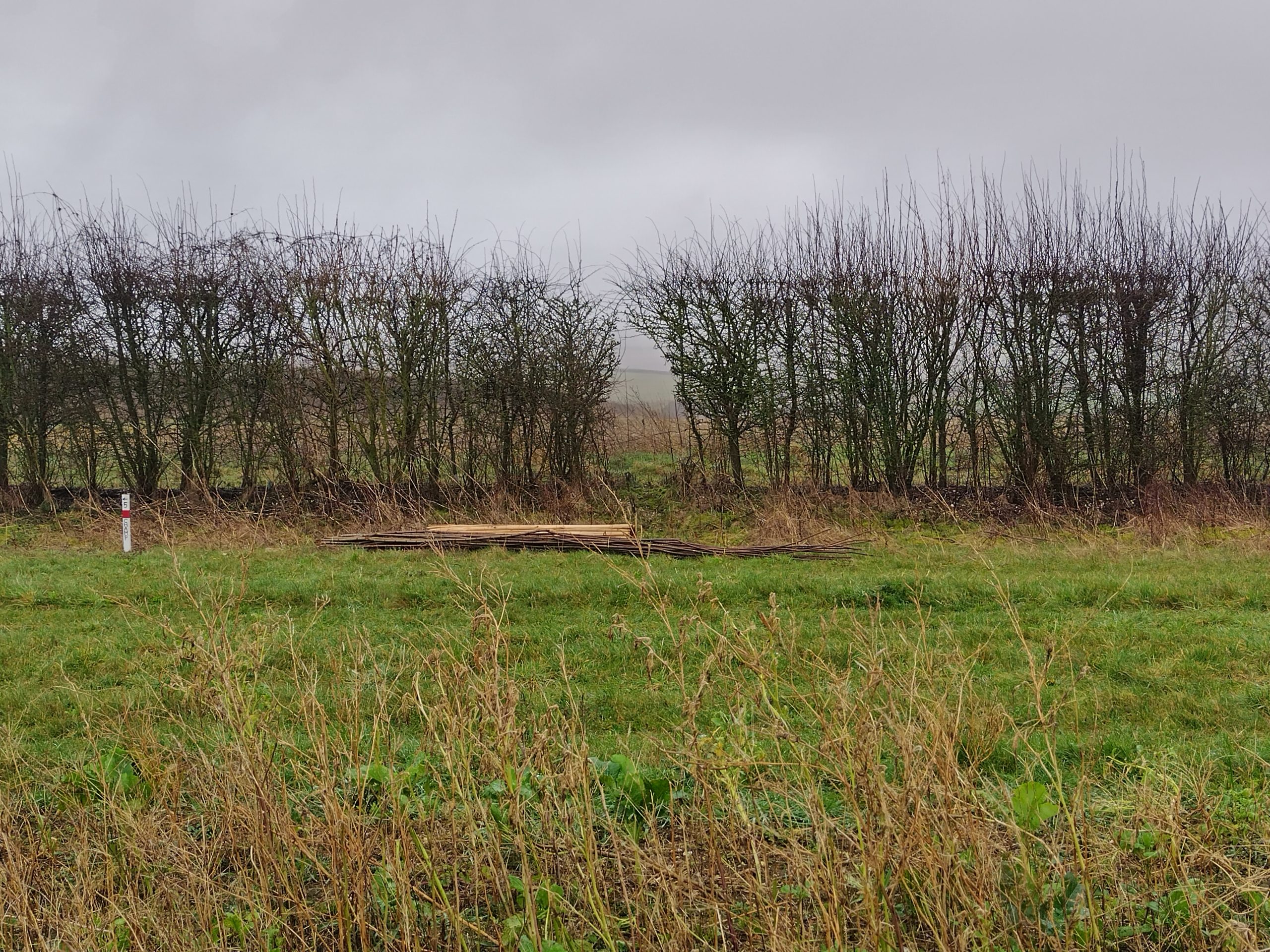 rhs-post-gallery-single-image rhs-gall-item