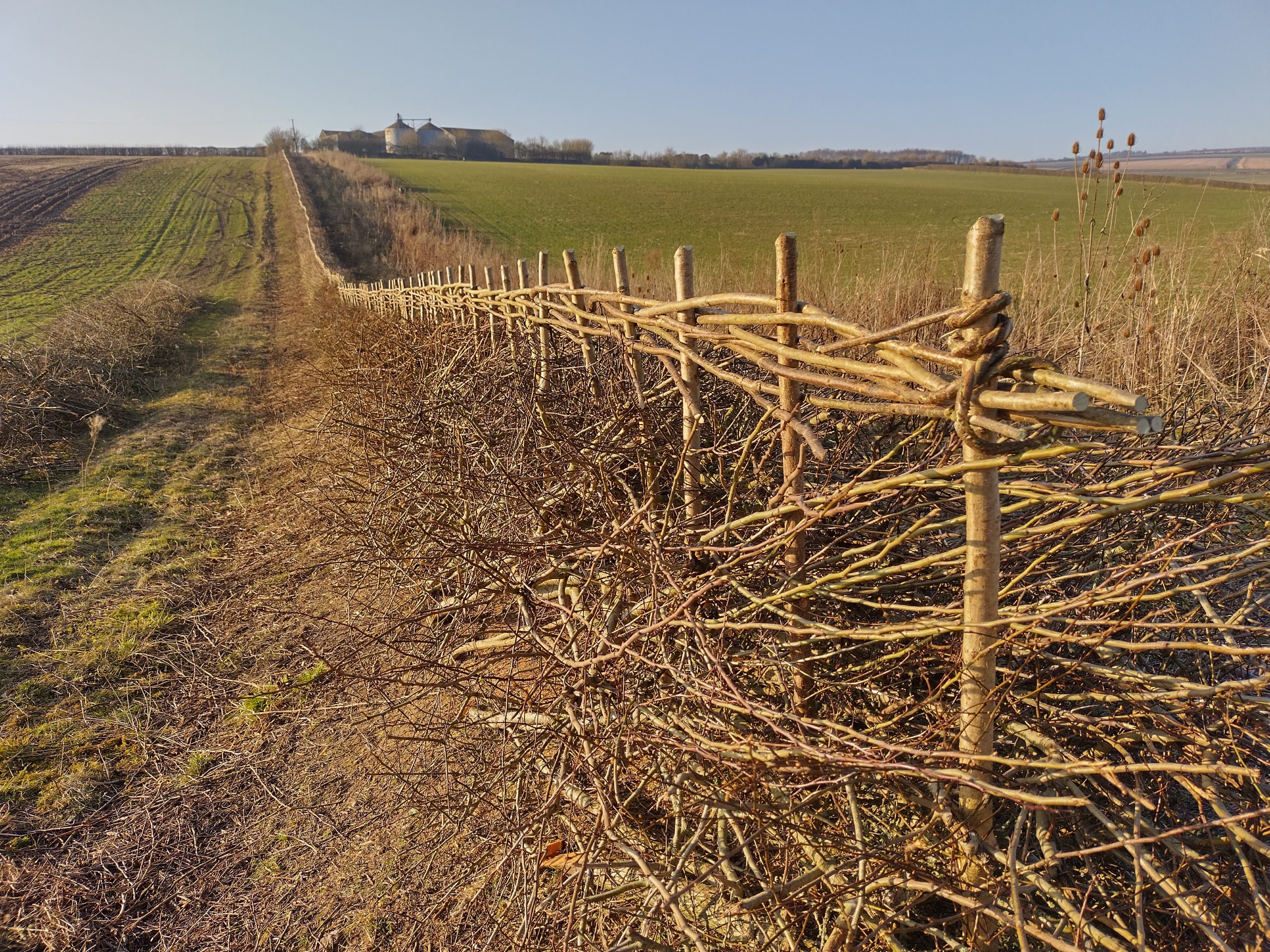 rhs-post-gallery-single-image rhs-gall-item