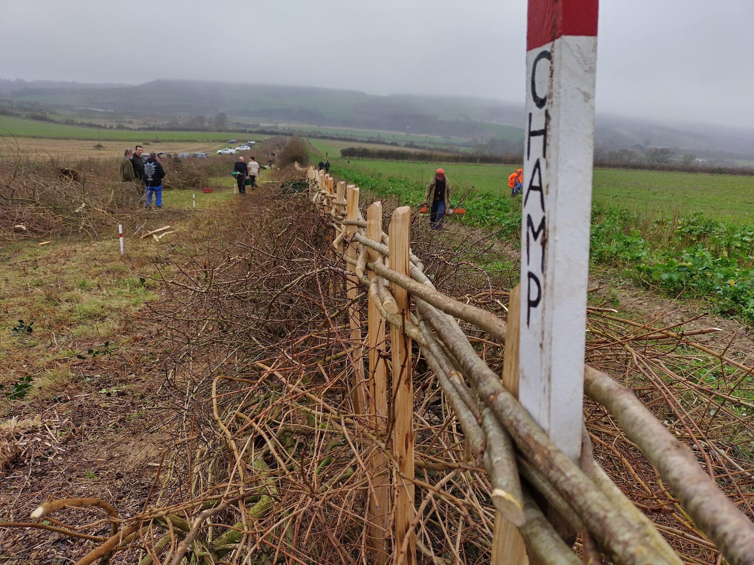 rhs-post-gallery-single-image rhs-gall-item